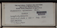 Image Associated With the Occurence